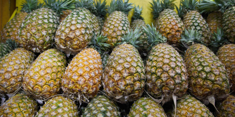 Crece 28.5% superávit de la balanza comercial agroalimentaria de México en primeros 10 meses