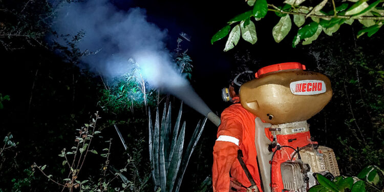 Controla Agricultura más de 30 brotes de langosta centroamericana en Yucatán