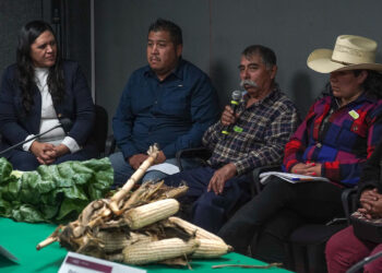 Destacan acciones de México en recuperación del suelo y su manejo sostenible