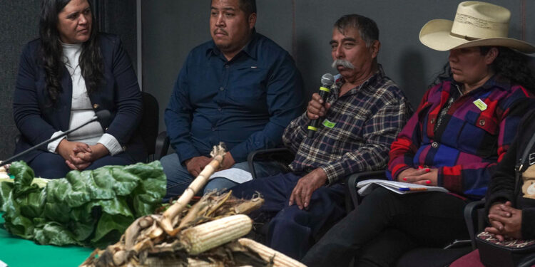 Destacan acciones de México en recuperación del suelo y su manejo sostenible