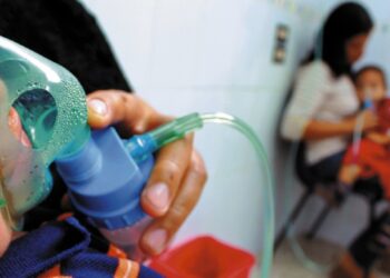 Foto tomada de internet