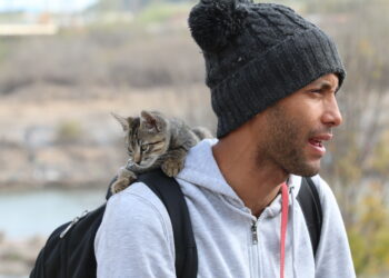 Simba, el gato migrante que se hizo viral en Piedras Negras, logra estancia en EU junto a sus dueños