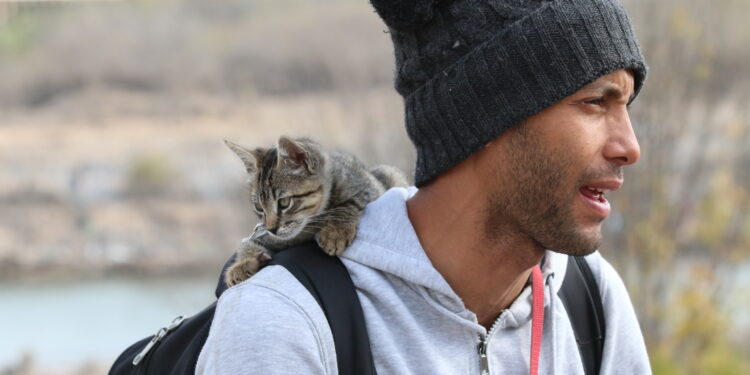 Simba, el gato migrante que se hizo viral en Piedras Negras, logra estancia en EU junto a sus dueños