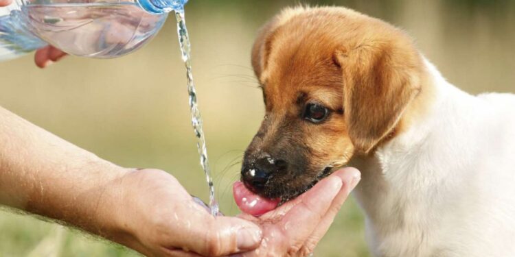 fOTO TOMADA DE INTERNET