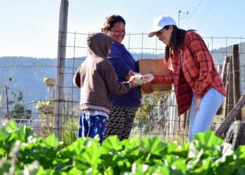 Lleva Paola Rodríguez brigadas a comunidades rurales
