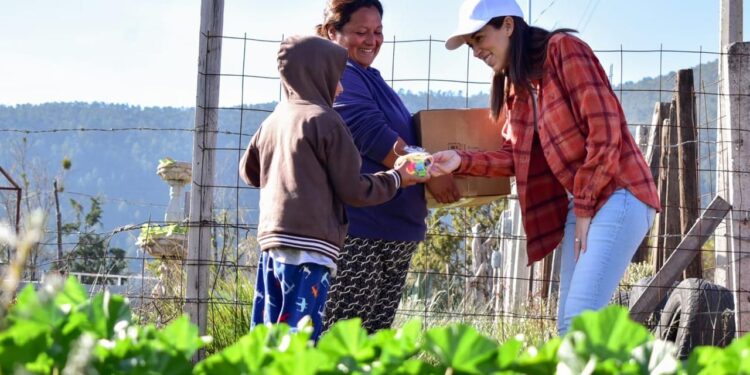Lleva Paola Rodríguez brigadas a comunidades rurales