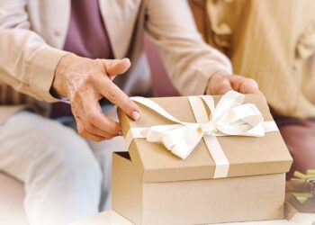 Regalos de navidad y gastos para la recreación no son obligatorios para quien otorga una pensión