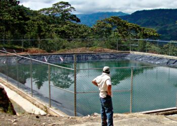 Reconocen liderazgo de México en el aprovechamiento sustentable del agua y suelo para la agricultura