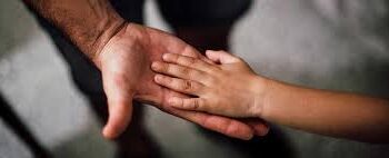 Foto tomada de internet