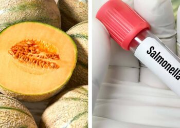 Cofepris y Senasica realizan vigilancia sanitaria puntual a melones posiblemente contaminados con Salmonella