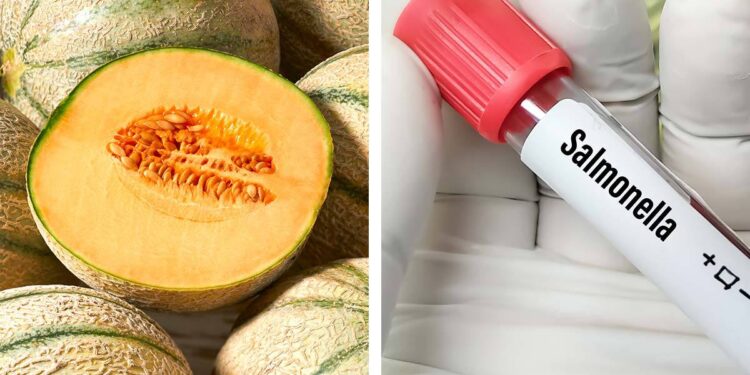 Cofepris y Senasica realizan vigilancia sanitaria puntual a melones posiblemente contaminados con Salmonella