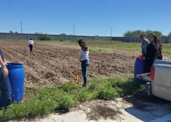 Promueve Agricultura huertos familiares y escolares en poblaciones vulnerables (video)