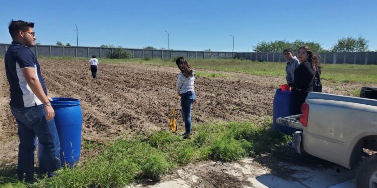 Promueve Agricultura huertos familiares y escolares en poblaciones vulnerables (video)