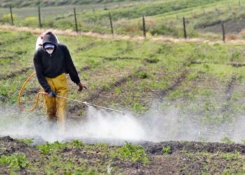 ¿A quiénes beneficia la prohibición del Glifosato en México?