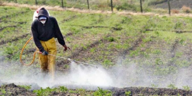 ¿A quiénes beneficia la prohibición del Glifosato en México?