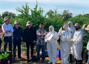 Capacita Agricultura a técnicos para el manejo fitosanitario de plagas de los cítricos