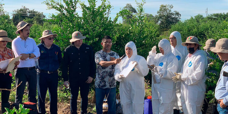Capacita Agricultura a técnicos para el manejo fitosanitario de plagas de los cítricos
