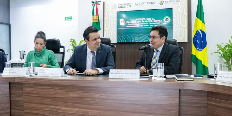 Buscan México y Brasil establecer regionalización por influenza aviar y evitar interrupción del comercio