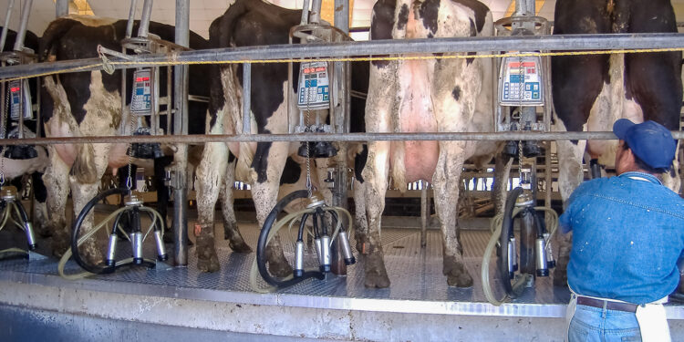 Verifican México y Estados Unidos avances en materia de tuberculosis bovina en ocho entidades