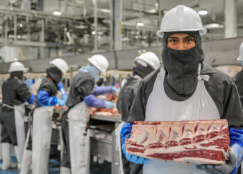 Registra sector primario alza en actividad económica y exportaciones en octubre y noviembre de 2023: Agricultura