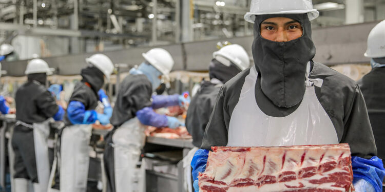 Registra sector primario alza en actividad económica y exportaciones en octubre y noviembre de 2023: Agricultura