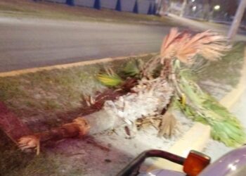 ATENTOS AL LLAMADO DE FAMILIAS SE MANTUVO PROTECCIÓN CIVIL Y BOMBEROS CON ATENCIÓN A MÁS DE 22 LLAMADAS DE AUXILIO