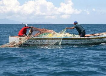 LA DENUNCIAN QUE DIRECTORA DE VIDA SILVESTRE UTILIZA A LA SEMARNAT PARA BENEFICIAR A PODEROSAS EMPRESAS