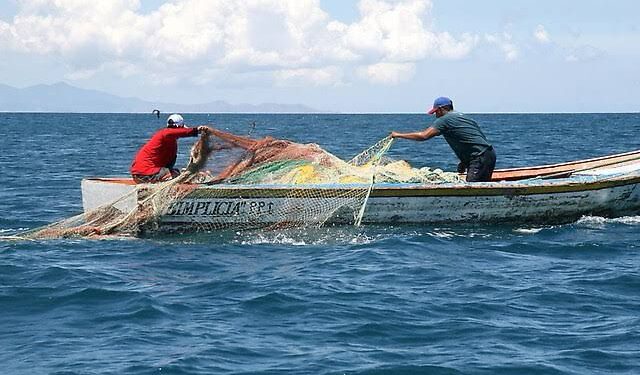 LA DENUNCIAN QUE DIRECTORA DE VIDA SILVESTRE UTILIZA A LA SEMARNAT PARA BENEFICIAR A PODEROSAS EMPRESAS