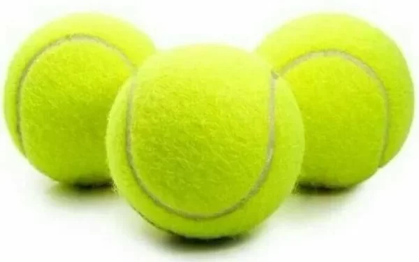 FESTEJARÁ MÉXICO CENTENARIO EN LA COPA DAVIS CON POSIBILIDADES DE GANAR