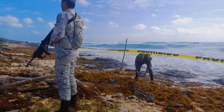 Ejército Mexicano asegura droga en Quintana Roo