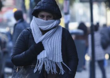 Foto tomada de internet