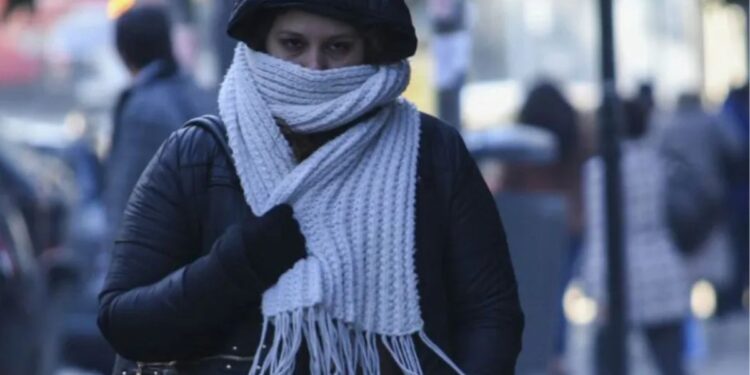 Foto tomada de internet