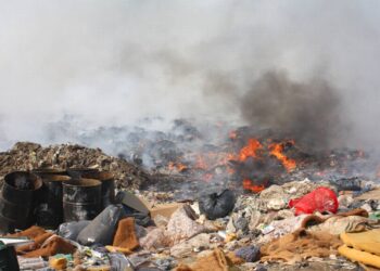 Llaman a cuidar el entorno no talando arboles ni quemando basura en lotes baldíos