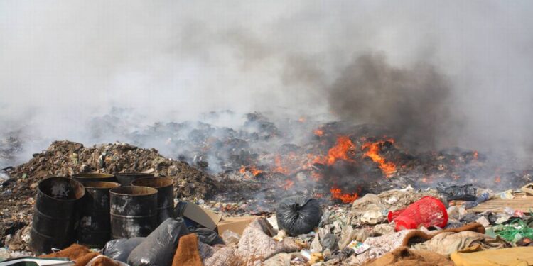Llaman a cuidar el entorno no talando arboles ni quemando basura en lotes baldíos