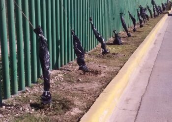 Siguen las acciones ambientales en medio del clima extremo