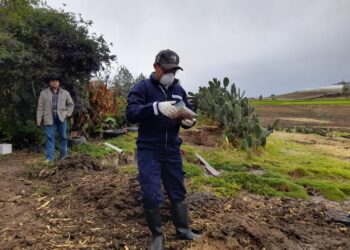 Investiga Agricultura causas de muerte de bovinos en Hidalgo