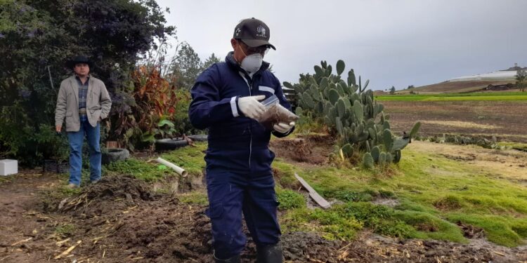 Investiga Agricultura causas de muerte de bovinos en Hidalgo