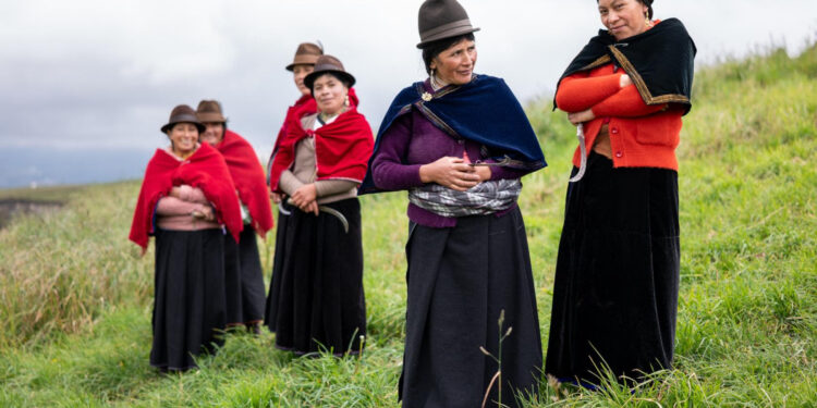 Iniciativa para salvar los bosques andinos en siete países es galardonada como una de las siete Iniciativas Emblemáticas de Restauración Mundial de la ONU