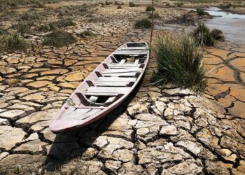 DEFORESTACIÓN, CONTAMINACIÓN E INEFICIENCIA GUBERNAMENTAL LAS CAUSAS DE LA CRISIS DEL AGUA
