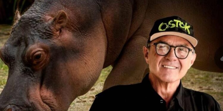 SEGUIMOS LISTOS Y DISPUESTOS PARA TRANSLOCAR A  LOS HIPOPÓTAMOS DE COLOMBIA: AZCARM