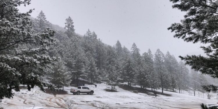 INGRESA NUEVO FRENTE FRÍO A COAHUILA