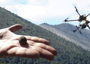 Reforestación con dron: el proyecto piloto que busca revivir la Sierra de Arteaga