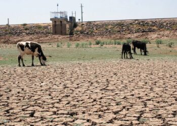 México se seca, y la nueva ley general de aguas sigue en espera