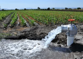 NULAS POLÍTICAS PÚBLICAS EN USOS DEL AGUA