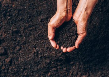 RECONOCE UMFFAAC A MUJERES COMO MOTOR DE DESARROLLO EN EL CAMPO