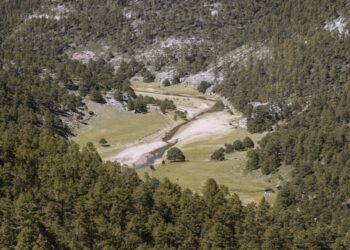 Crónica de un despojo histórico: Pierden Rarámuris 33 mil hectáreas por vacíos legales y logran recuperar 11 mil