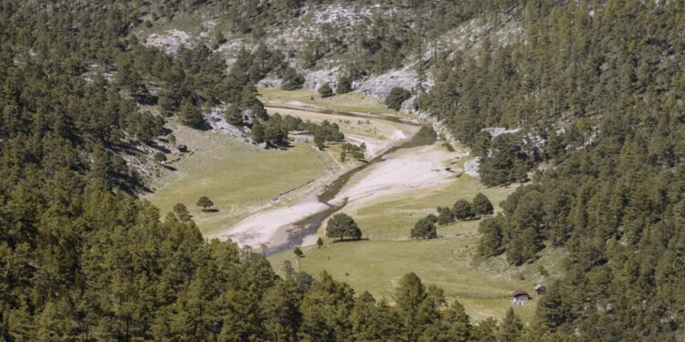 Crónica de un despojo histórico: Pierden Rarámuris 33 mil hectáreas por vacíos legales y logran recuperar 11 mil