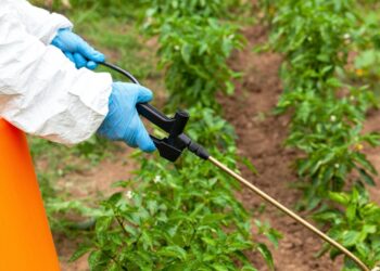 DECISIÓN DEL GOBIERNO SOBRE EL GLIFOSATO ABRE CAMINO PARA HACER MÁS PRODUCTIVO AL CAMPO: UMFFAAC