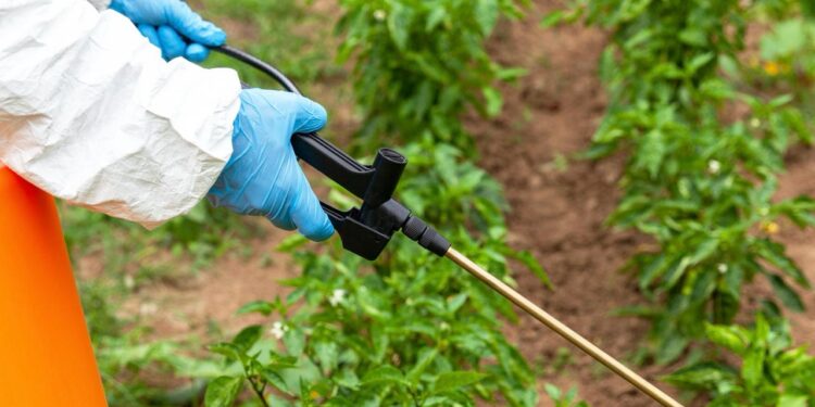 DECISIÓN DEL GOBIERNO SOBRE EL GLIFOSATO ABRE CAMINO PARA HACER MÁS PRODUCTIVO AL CAMPO: UMFFAAC