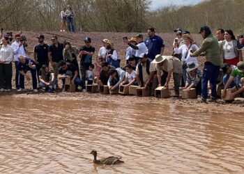 EN TRES AÑOS OSTOK SANCTUARY HA RESCATADO MIL 800 ANIMALES SILVESTRES